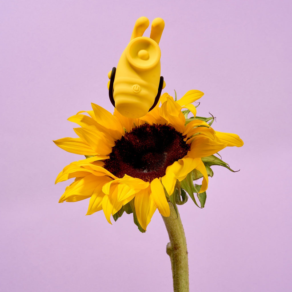 Bumble Bee Camtoyz